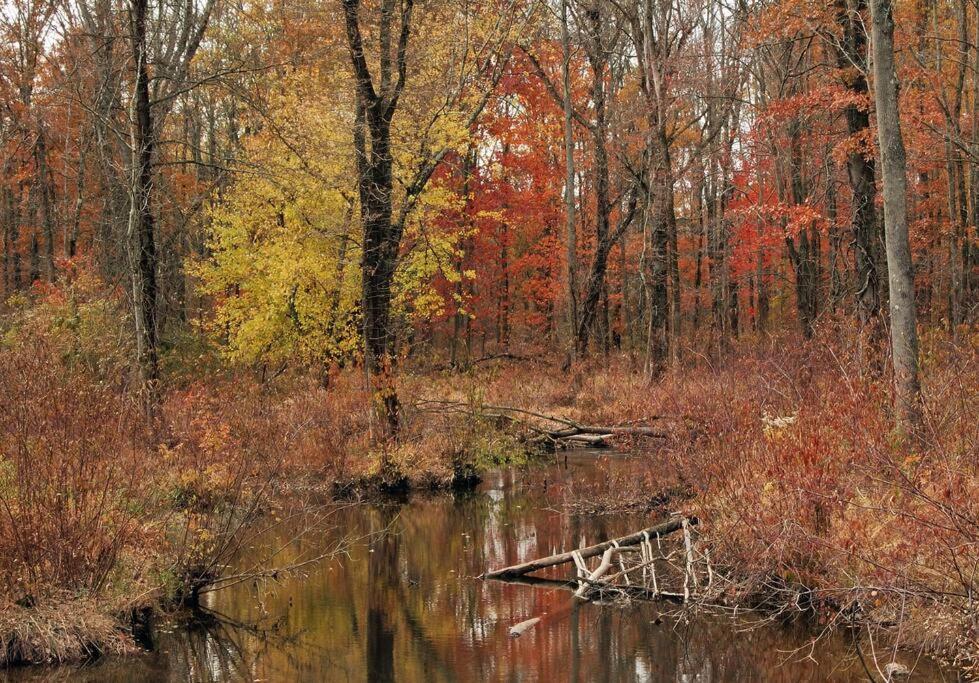 Вилла Connecticut Estate Escape Weston Экстерьер фото